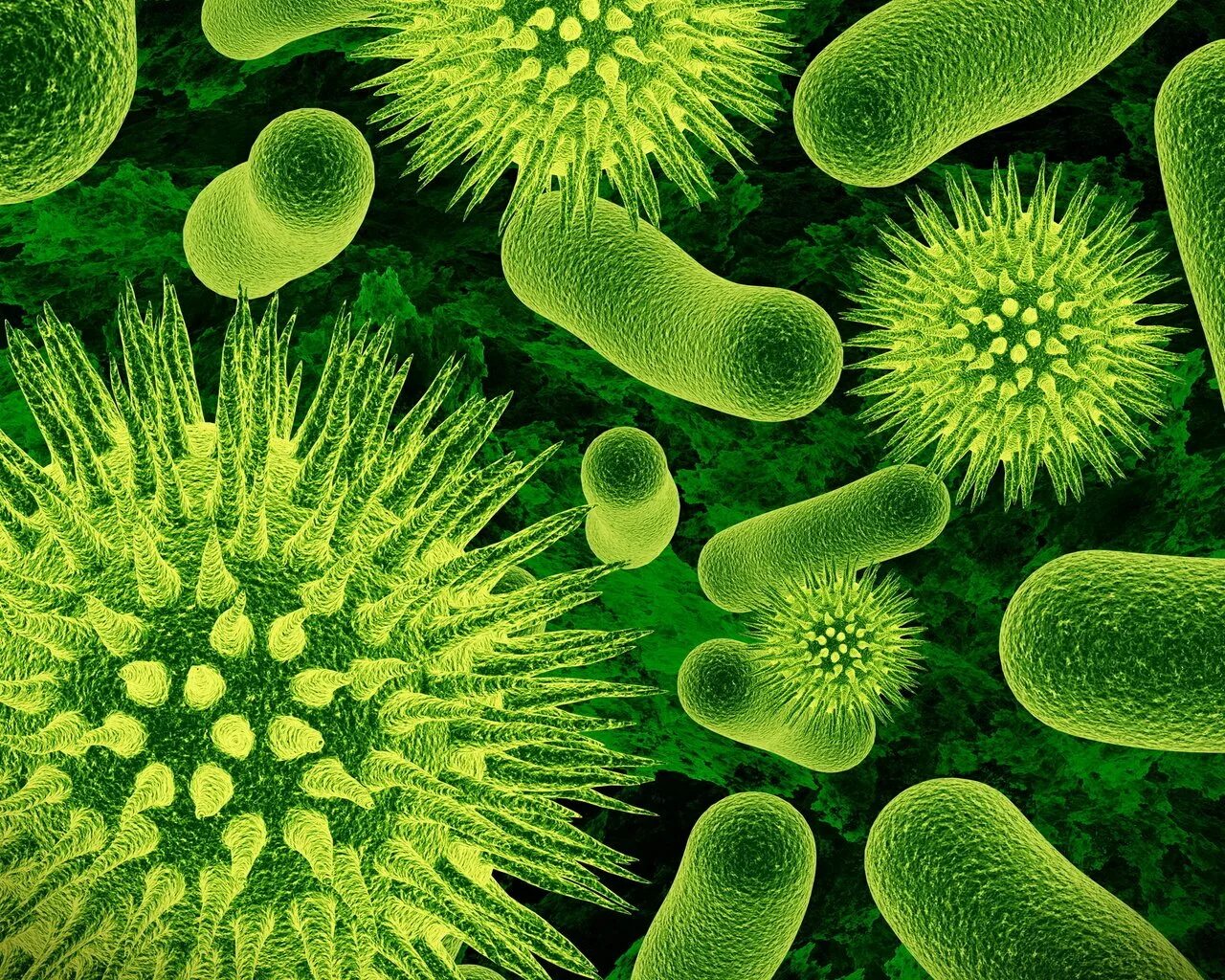 Сапрофиттер бактериялар. Бактерии на коже человека. Вирусы и бактерии. Вирусы бактерии микробы.