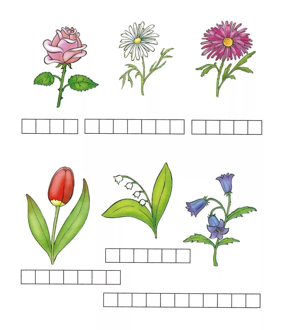 Разгадай цвета. Цветы задания для дошкольников. Цветы задания для малышей. Развивающие задания цветы. Для детей задания о цветах.