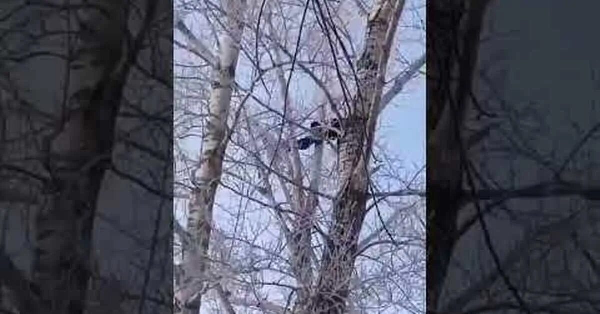 Порно Изнасиловал 15 Летнюю Дочь