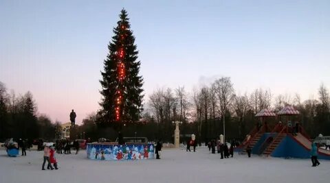 Елки череповец