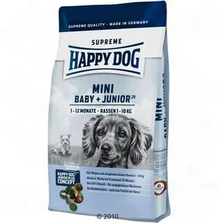 Happy dog mini