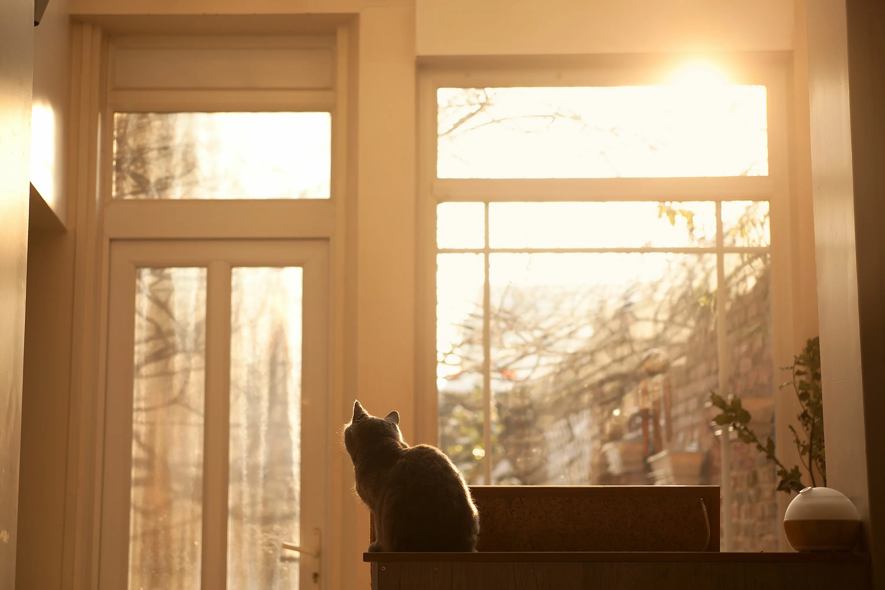 He the window in the room