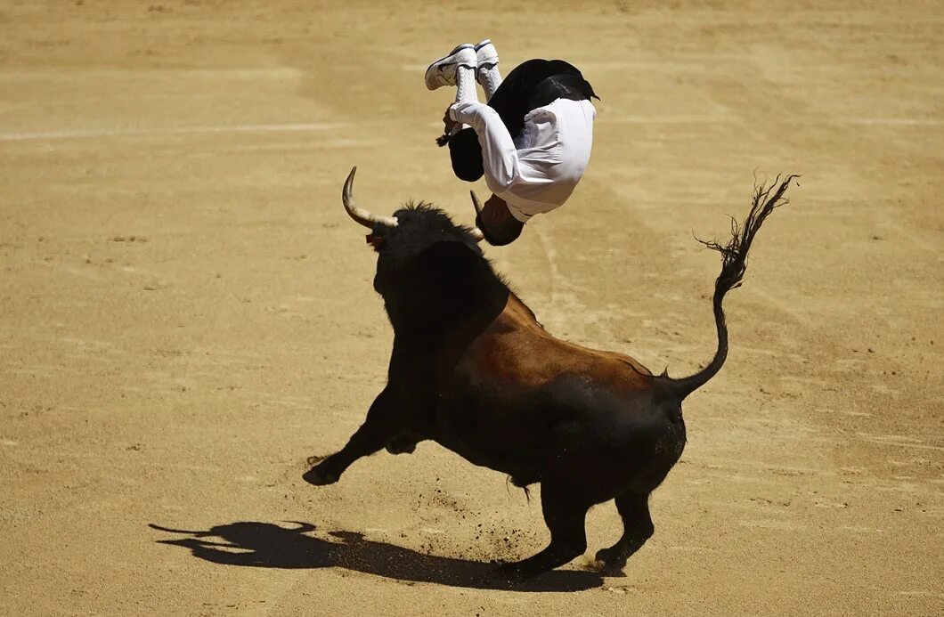 Упражнение бык. Упражнение бык. Упражнение бык. Упражнение бык. Упражнения на пресс скручивания.