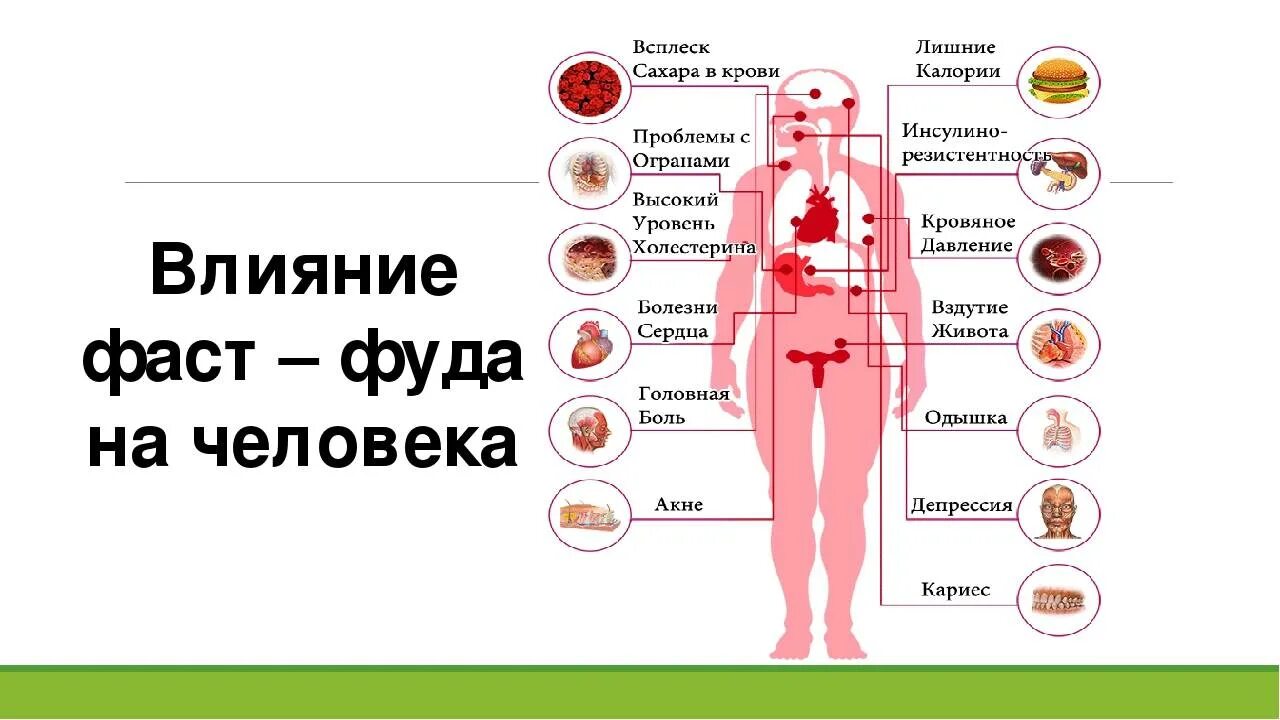 Влияние фаст фуда. Влияние вредных продуктов на организм. Влияние фаст фуда на организм человека. Заболевания от фастфуда. Влияние вредной пищи на организм человека.