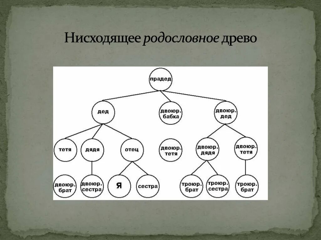 Читать род корневых будет жить 7. Схема родственных связей дерево. Как составить родословную схема. Составление родословного древа. Составление схемы генеалогического древа.