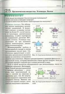 Биология 10 класс теория