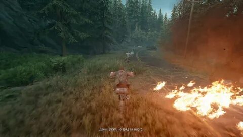 Days gone требования для пк