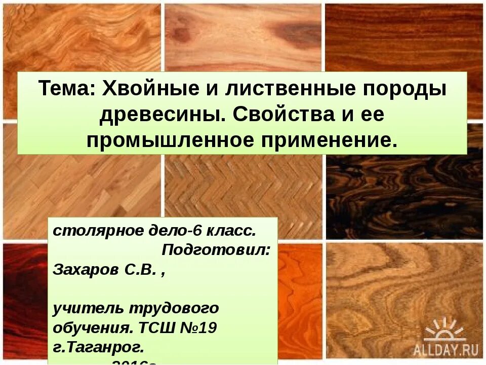 К хвойным породам относятся породы. Лиственные породы древесины. Хвойные и лиственные породы древесины. Ценные породы дерева. Твёрдые лиственные породы древесины.
