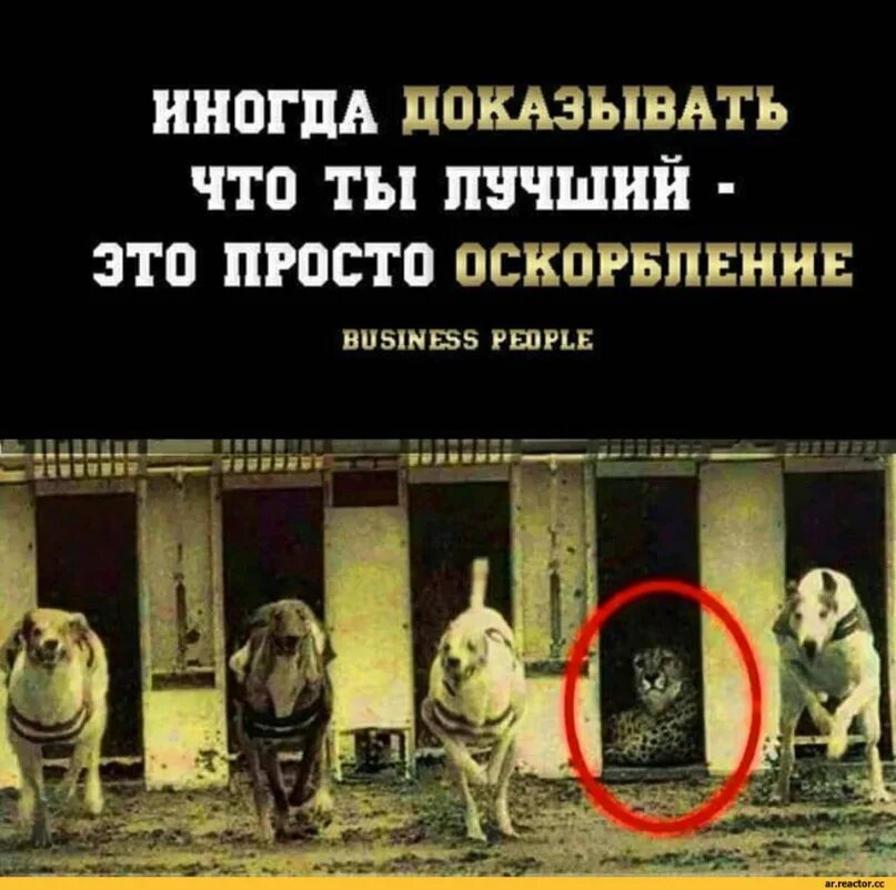 Докажем то чего не было. Иногда доказывать что ты лучший. иногда доказывать что ты лучший оскорбление. нечего доказывать. иногда доказывать что ты лучший это просто оскорбление.