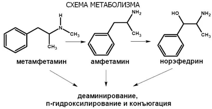 Химическая схема метамфетамина. Структурная формула метамфетамина. Химическое соединение метамфетамин. Метамфетамин химическая структура. Мета вещество