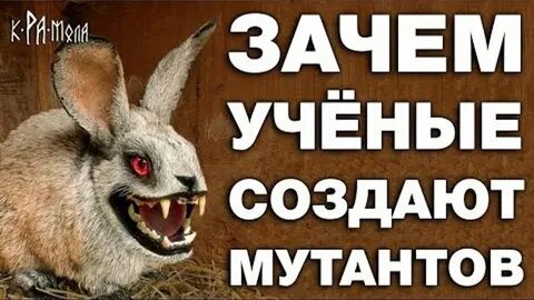 Зачем ученые