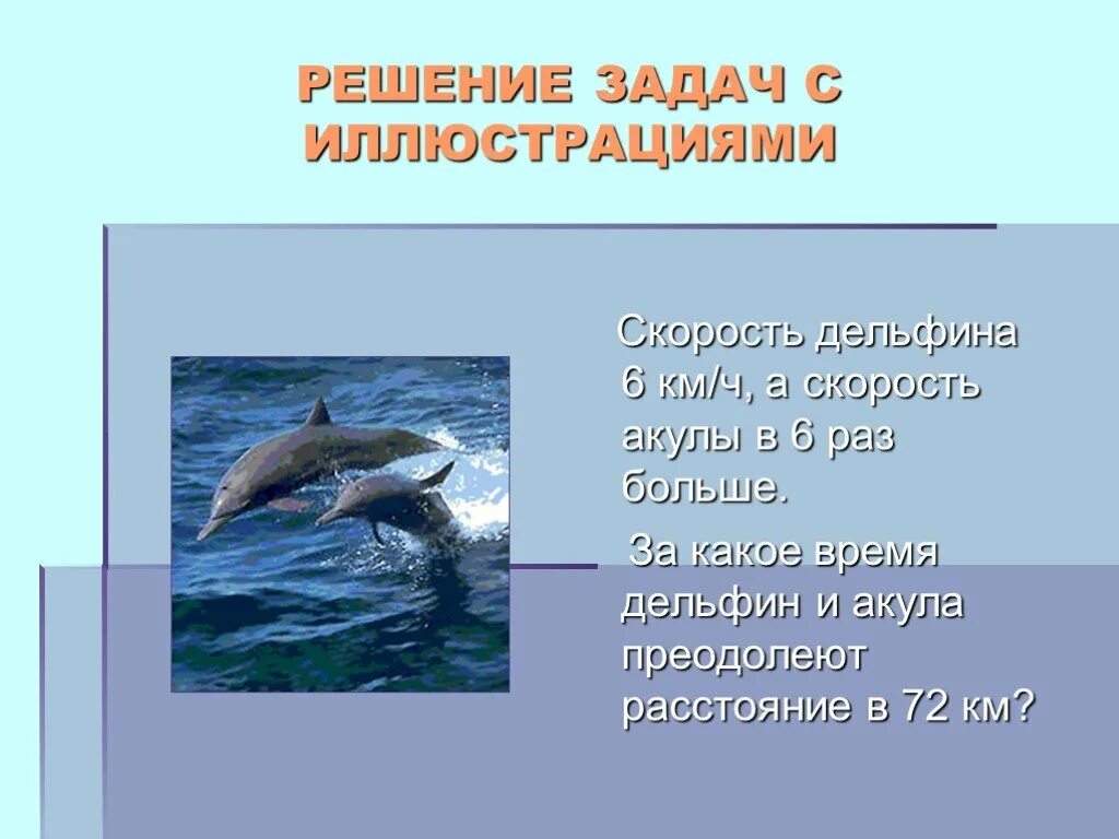 Скорость дельфина в 2 раза. Скорость дельфина. скорость дельфина и акулы. акула скорость кмч. задание дельфины.