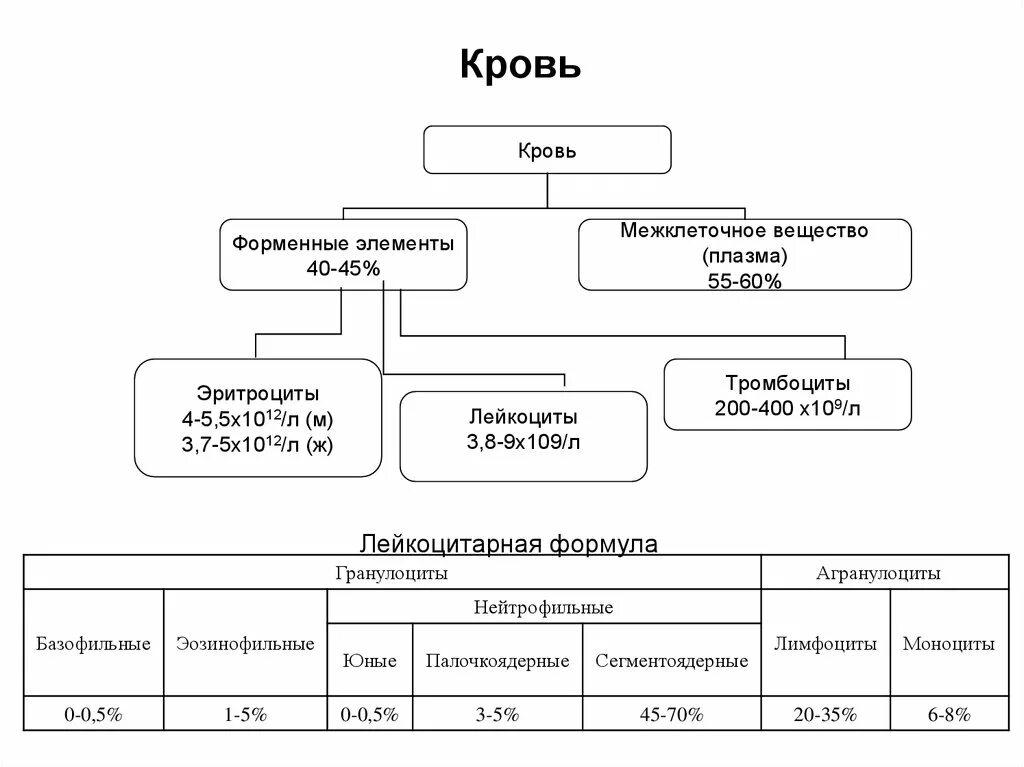 Элементы составляющие кровь. Схема классификации форменных элементов крови. Кровь плазма и форменные элементы таблица. Графологическая схема состав крови. Форменные элементы крови схема.