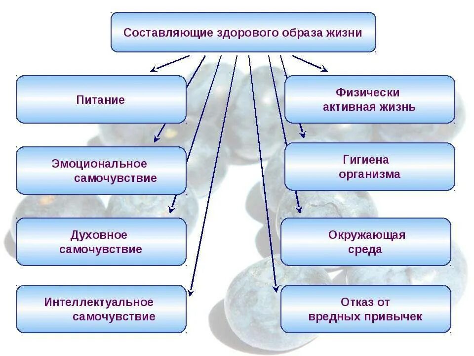 Выделите основные составляющие