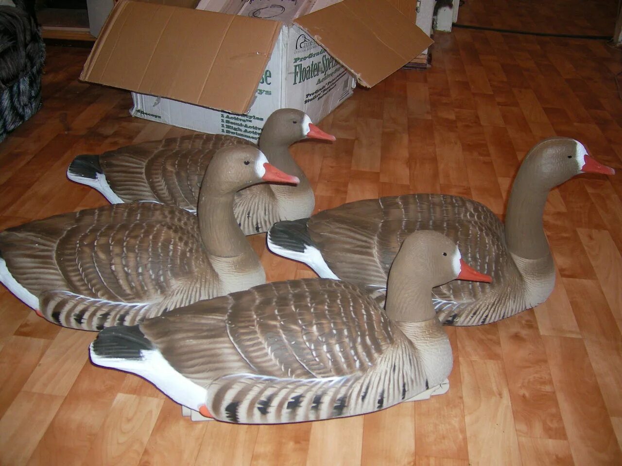 чучела гусиные солпласт. профиль белолобого гуся. гусиные профиля. гусь гуменник махокрыл чучело. гусиные чучела из дерева.