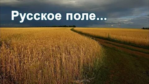 Песня на поле т