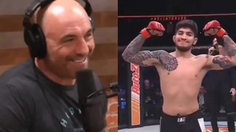 Карточка джо рогана. Рост джо рогана. джо роган молодой. джо роган торс. joe rogan тату.