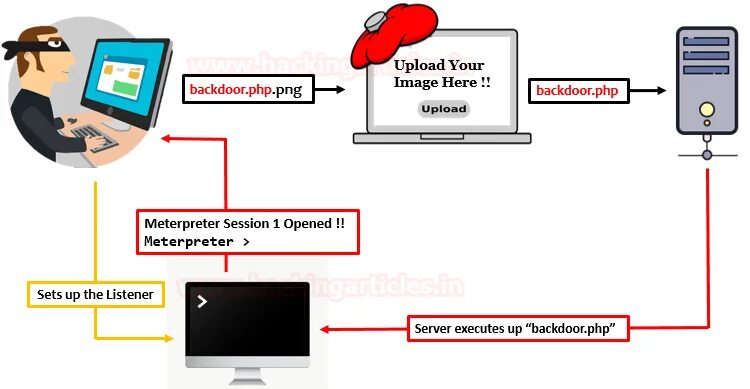 Uploads files public