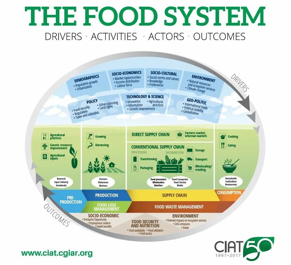 Система фуд. Food System. Global food Supply Chains. Global value Chain. Sustainable economic food.