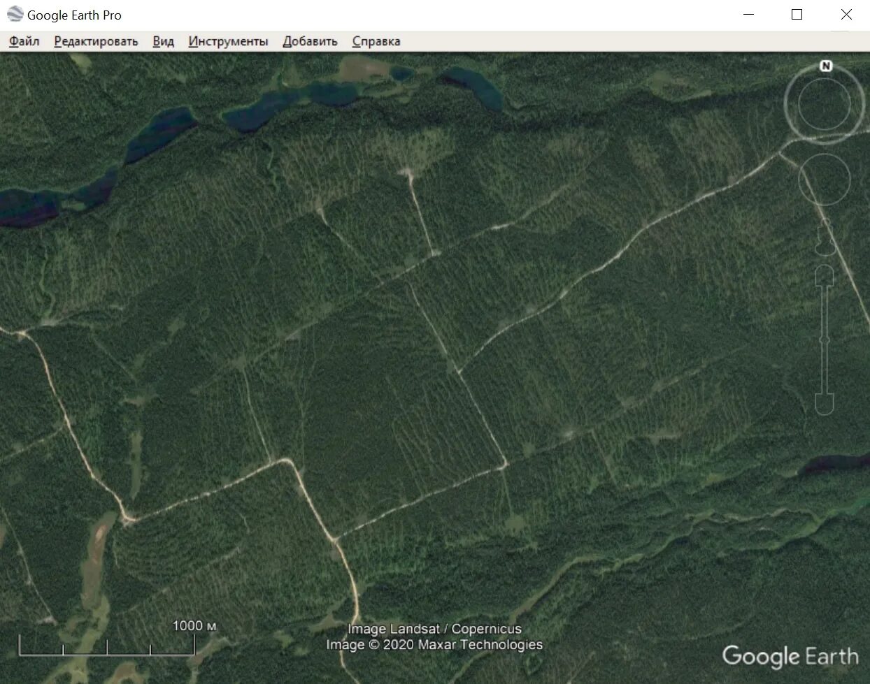 Вырубка леса в рф карта. Карта вырубки лесов в россии. Карта вырубки лесов рф на 2021 год. Карта вырубок. Вырубка лесов в россии карта.