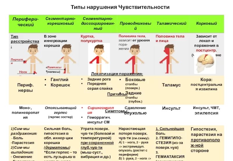 Типы поражения чувствительности. Проводниковый Тип нарушения чувствительности вызван. Типы расстройств чувствительности неврология. Типы нарушения чувствительности неврология. Периферический Тип расстройства чувствительности.