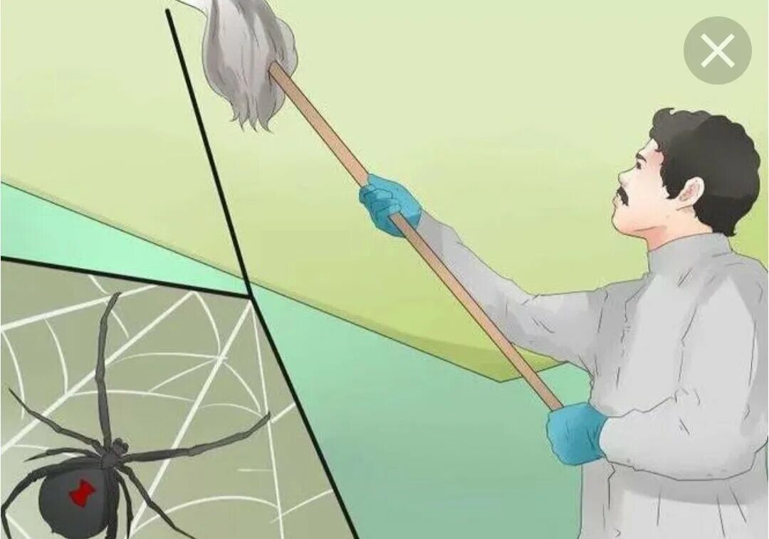 Паутина в углу угол. Паутина в доме. Паук на окне. Паутина в доме. Паутина на потолке в углу.