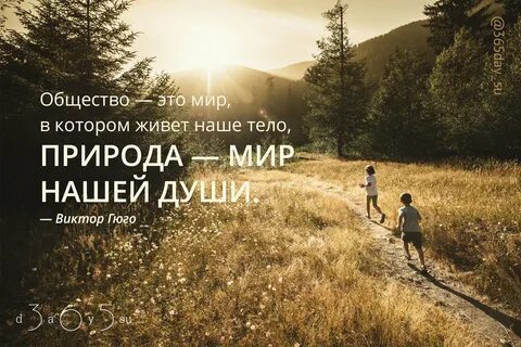 Афоризмы на тему природа