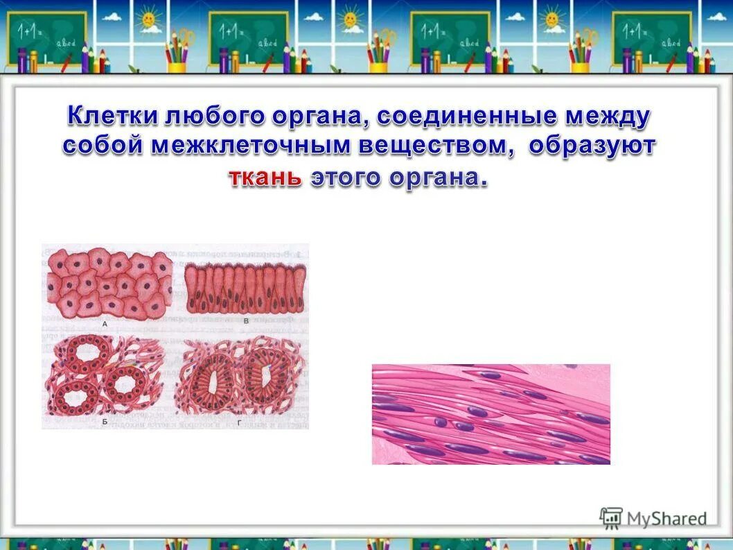 путешествие в мир клеток.