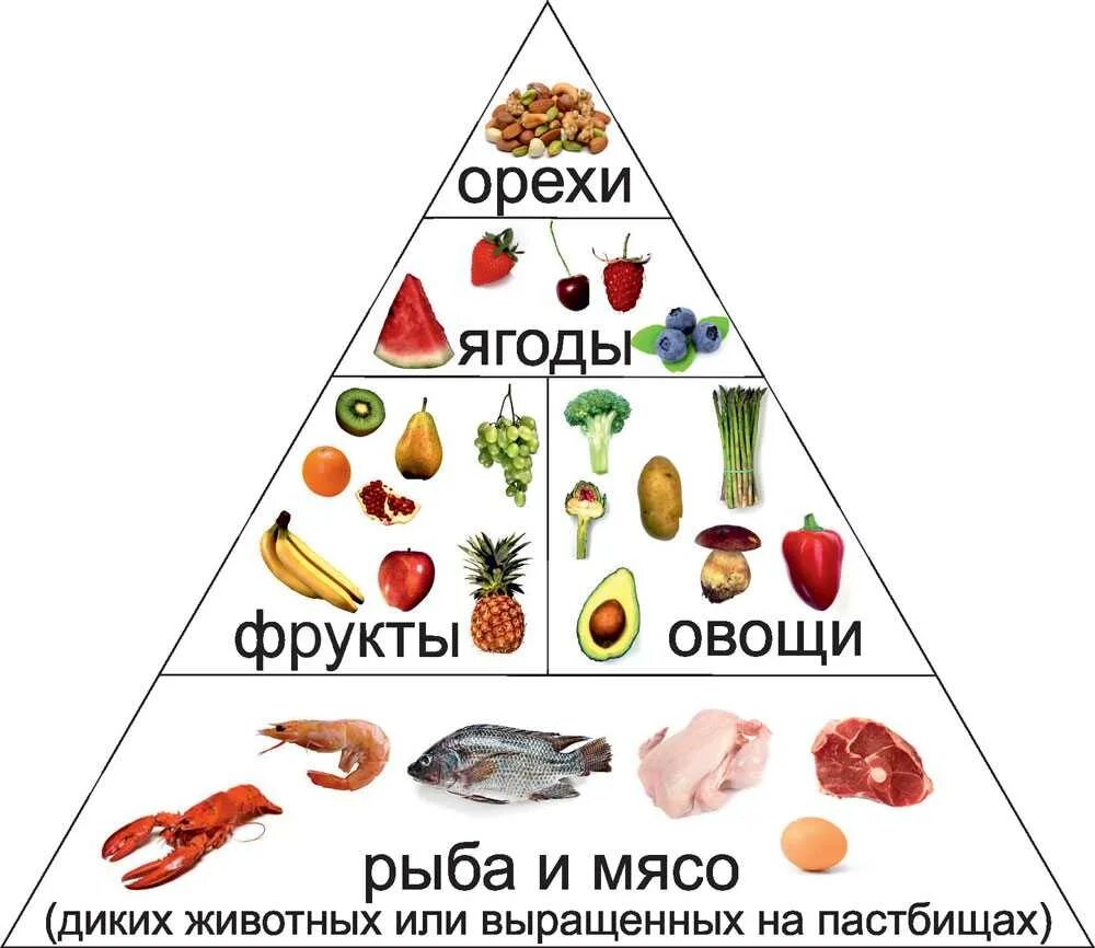 Какие фрукты можно есть при диете. Пирамида палео питания. пирамида питания на кето диете. кето палео диета. кето пирамида питания.
