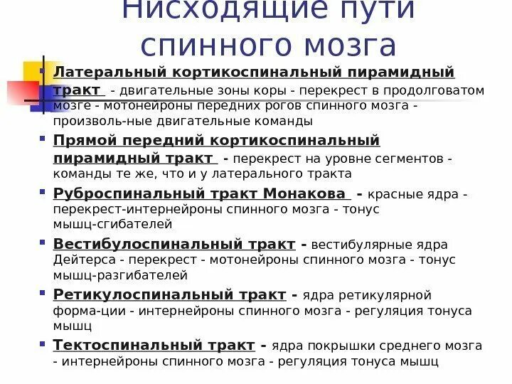 Нисходящие пути спинного. Пирамидные пути спинного мозга. Пирамидный путь неврология схема. Латеральный кортикоспинальный тракт. Передний и латеральный кортикоспинальные пути.