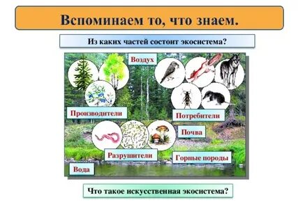Разрушители природного сообщества