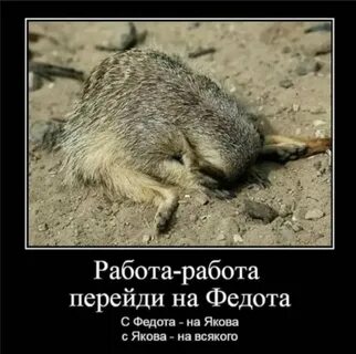 Эх работа работа перейди на федота