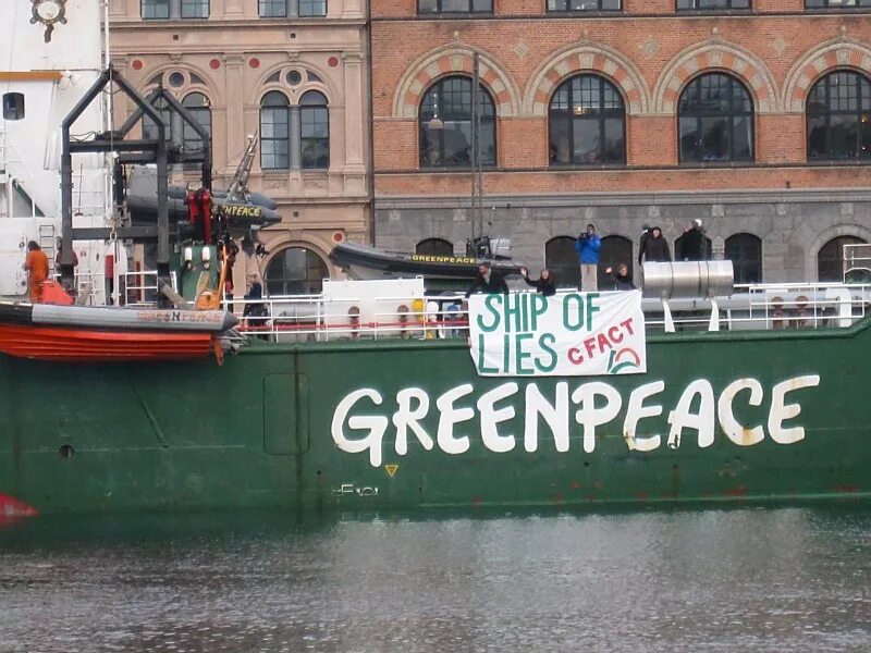 Офис гринпис. Гринпис фото. Join greenpeace. Join greenpeace. Организация greenpeace.