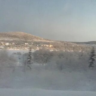 Погода шонгуй норвежский