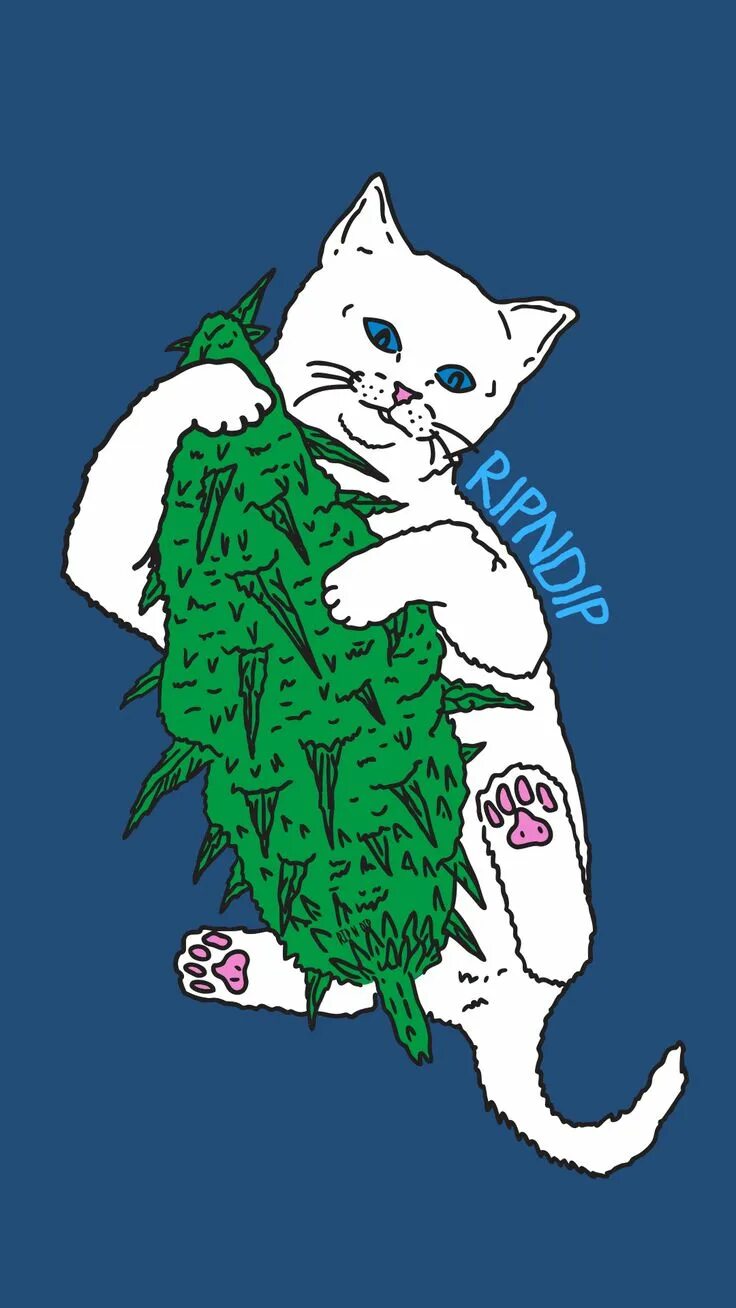 Майка ripndip. Ripndip логотип. Ripndip логотип. Рипн дип. Ripndip кот.