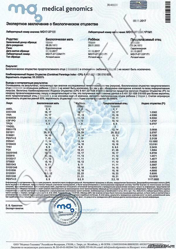 Днк тест на отцовство в екатеринбурге. Заключение ДНК теста на отцовство. Как выглядит результат теста ДНК на отцовство. Тест ДНК на отцовство пример результата. Генетическая экспертиза на отцовство Москва.