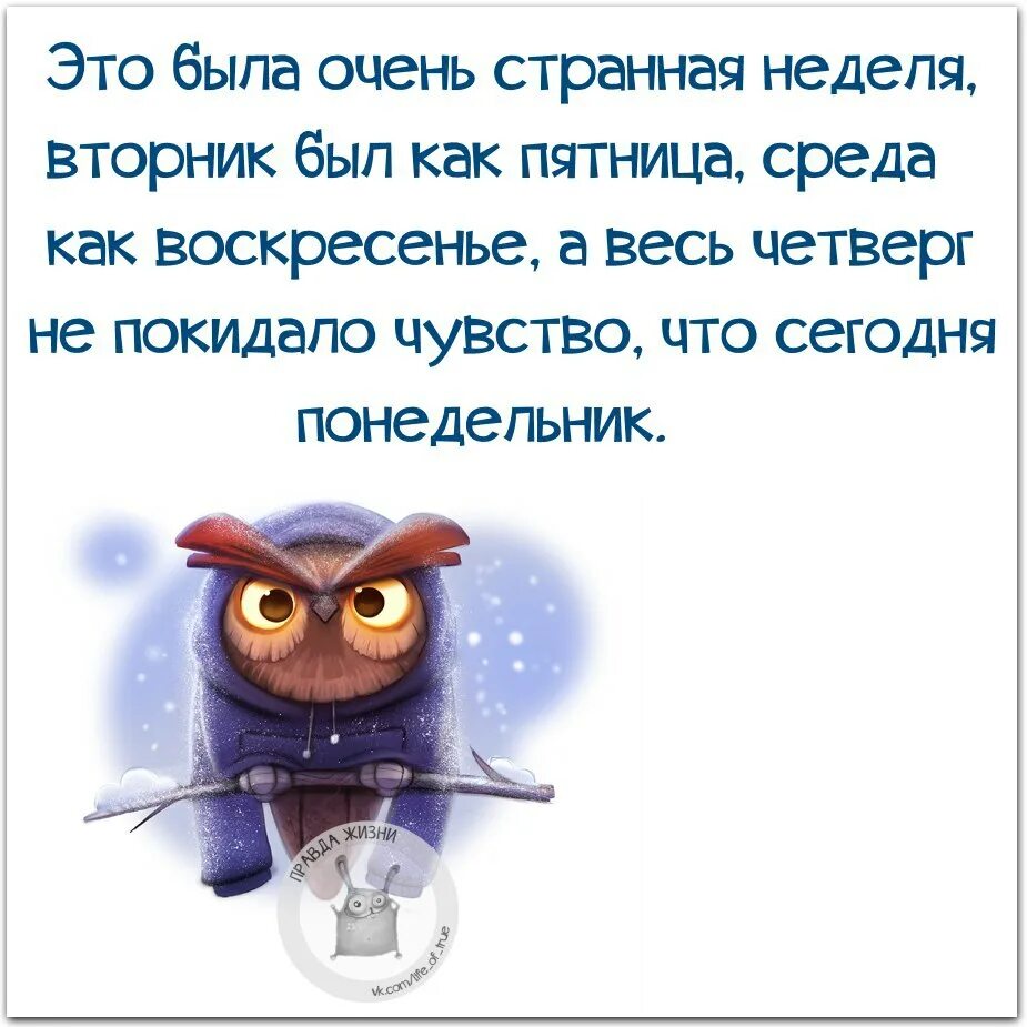 Правда жизни. Смешные высказывания о жизни. Правда жизни афоризмы. Правда жизни цитаты. Высказывание правда жизни