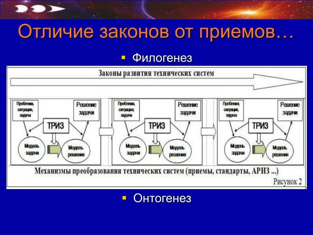 Онтогенез и филогенез. Понятие филогенез. Понятие об онтогенезе и филогенезе. Развитие онтогенез и филогенез.