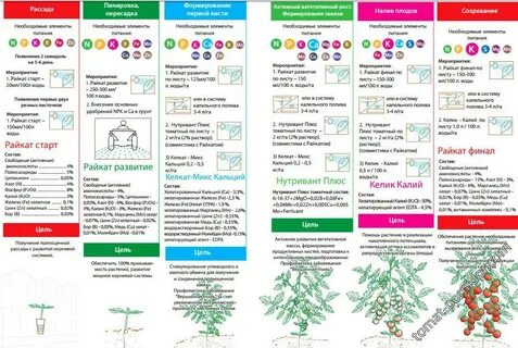 Минеральное питание огурцов