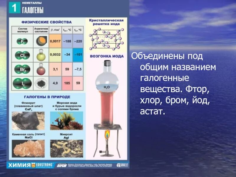 Фтор хлор бром йод Астат. Бром в природе встречается. Распространенность галогенов в природе