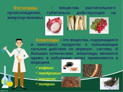 Продуктами растительного происхождения являются