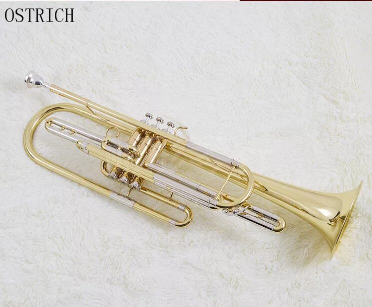 Бас труба звук. Бас труба духовой инструмент. Бас труба музыкальный инструмент. Труба бас б1. Трубчатые музыкальные инструменты.