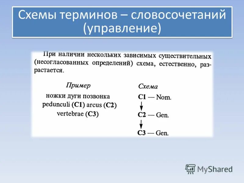 Основные анатомические термины. Структура клинического термина в латинском языке. Анатомическая терминологи. Структура анатомических терминов. Анатомическая нуменклотур.