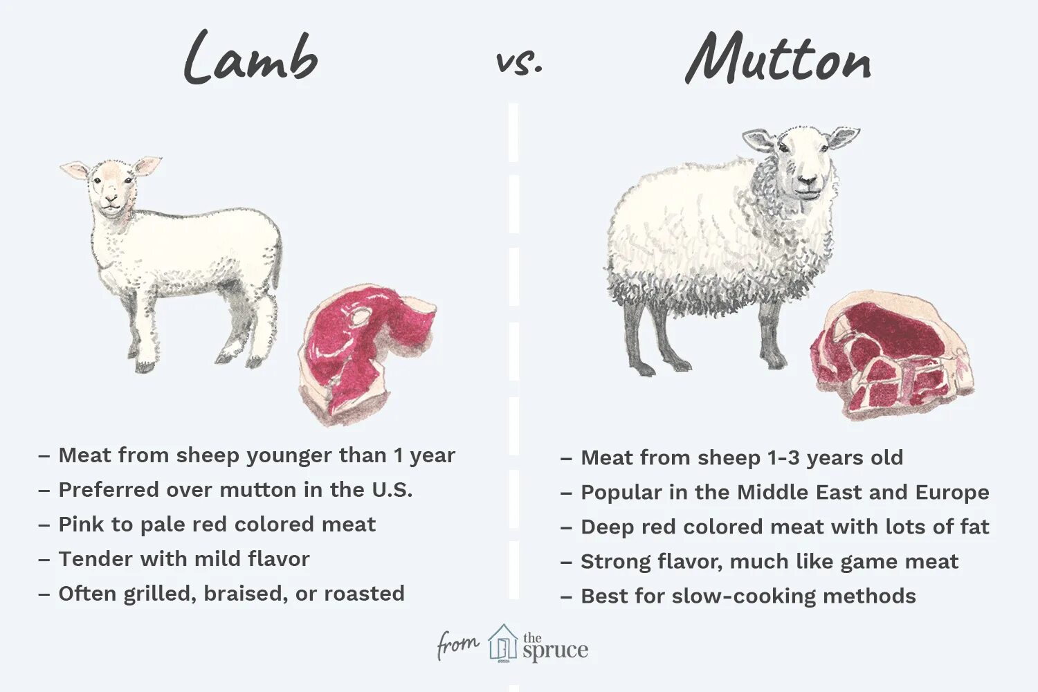 Ягненок. Овечка на английском. Mutton Lamb разница. Овца. Как по английски будет овца