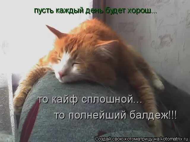 мужчина и женщина страсть. работа не в кайф. что такое собачий кайф и его последствия. мем удовольствие. кайф ты поймала рисунок.