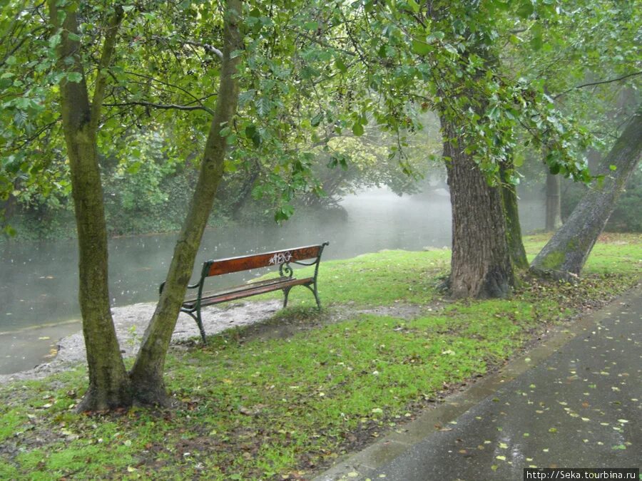 Парк после дождя. Дождливый парк фото. Летний дождь в городе. Скамейка в парке под дождем. Парк во время дождя.