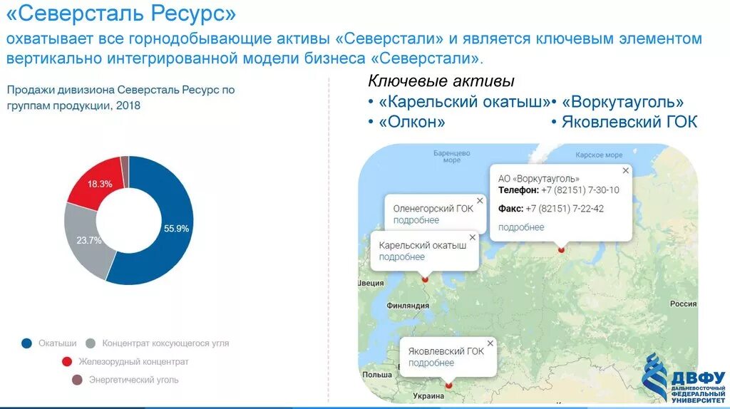 Северсталь информация. География деятельности пао северсталь. северсталь ресурсная база. северсталь географическое положение. северсталь на карте.