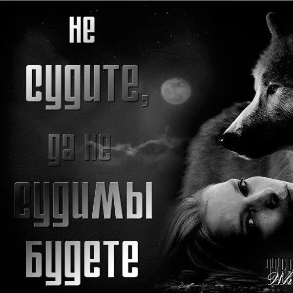 Я одинокий волк. Волки уходят в небеса слушать. Смысл песни волки. Свободный волк. Старый волк уходит.