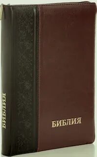 Ищущие библия