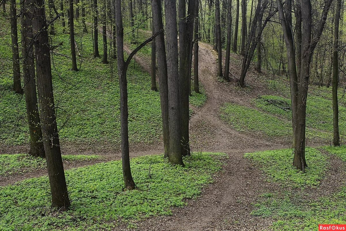 Кунцевский парк